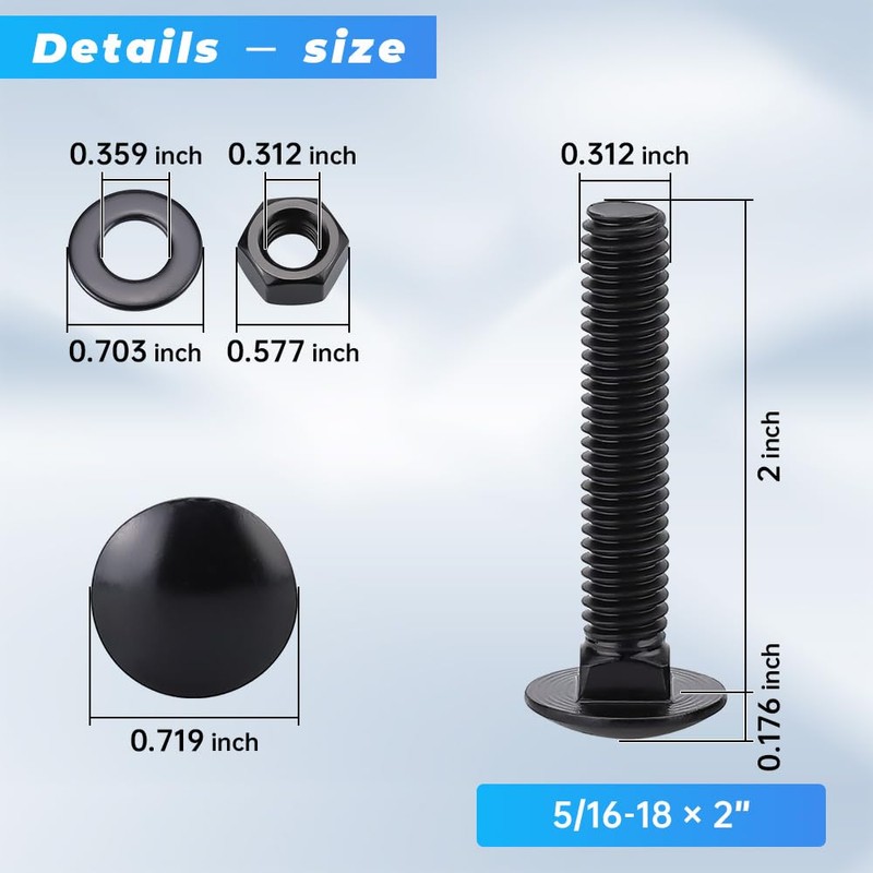 20 Sets 5/16-18 x 2" Black Carriage Bolts Screws and