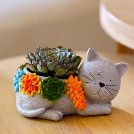 Cat Succulent Flower Plant Pots: Cute Planters for Outdoor Outside Office Decor Small Plants Cactus Live for Garden Home Desk Indoor – Plant Lovers Gifts for Mom/Women/Grandma