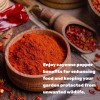 DEAL SUPPLEMENT Cayenne Pepper Powder 5 Pounds, Extra Hot, Great