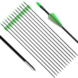 e5e10 31" Fiberglass Arrows Archery Training Practice Target Arrows with Durable Shaft Blunt Tip for Kids Youth or Beginners for Recurve Bow Long Bow (Green and White)