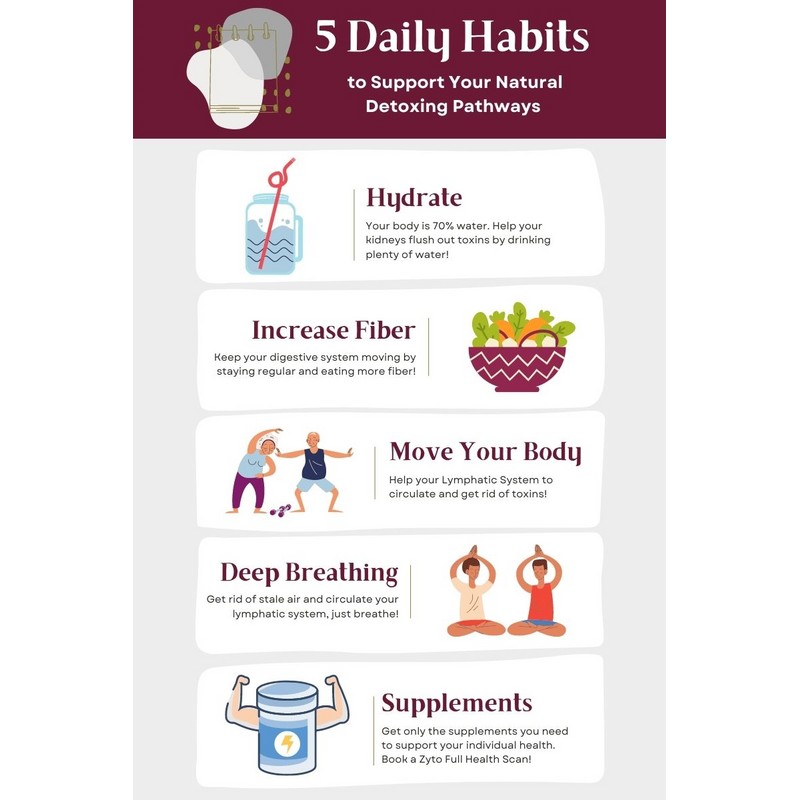 E-HETE Liver Care, Protects Liver from Stress-Induced Damage, Body's Detoxification