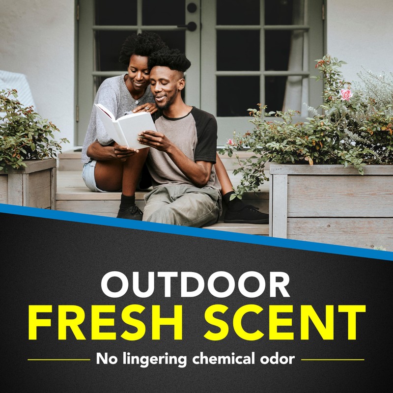 Raid Flying Insect Killer, Kills Flies, Mosquitoes, and Other Flying