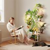 MemoCastle White Plant Shelves with Grow Lights: 7-Tier 65" Tall