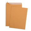 9 X 12 Self-Seal Brown Kraft Catalog Mailing Envelopes -