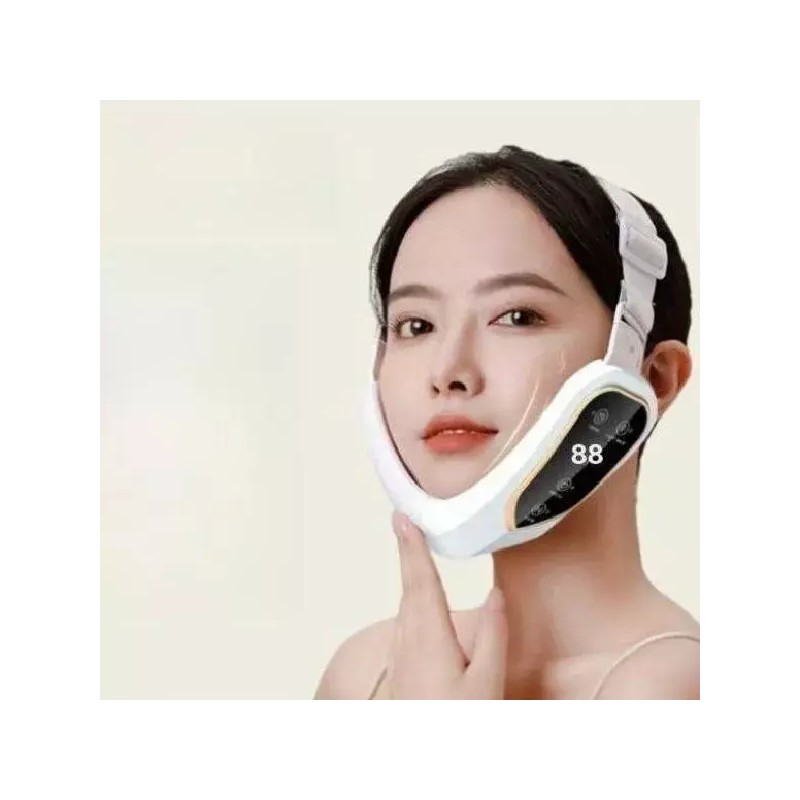BAIZECO Partner 얼굴 관리 마사지기 아티팩트 브이 주름 리프팅기계 [화이트]