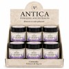 ANTICA Pomada de Lavanda 45 g c/u Bálsamo Corporal para
