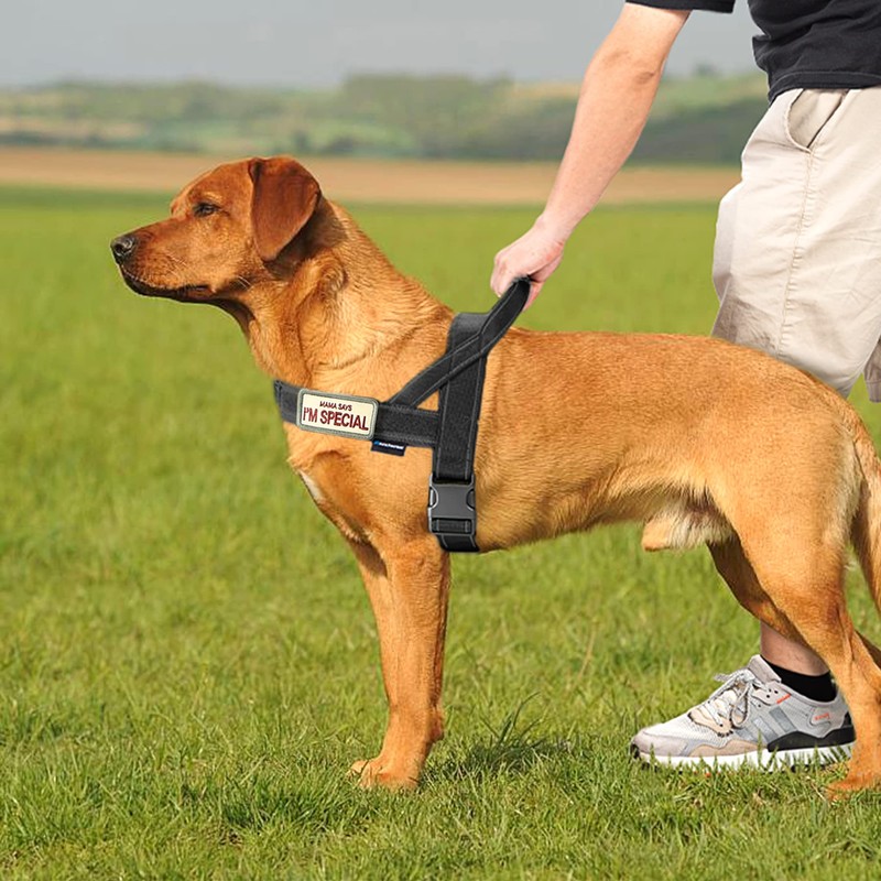 Annchwool No Pull Dog Harness with Soft Padded Handle,Reflective Strip