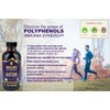 Fruitomed Immunia SYNERGY - Elderberry Supplement for Immune System Support