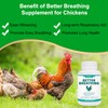 Chicken Breathing Supplement, Poultry Respiratory Aid Pills for All Breeds