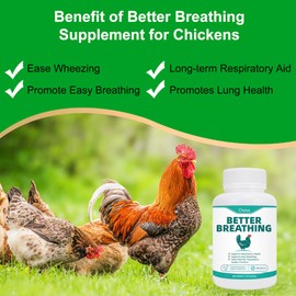 Chicken Breathing Supplement, Poultry Respiratory Aid Pills for All Breeds & Ages of Chickens - Support Wheezing, Coughing, Rapid Breathing, Lung Health - Gentle, Natural Formula - 300 Tablets
