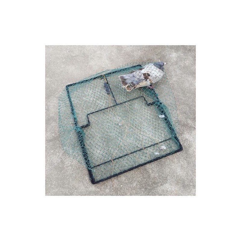 Pigeon Bird Trap Trapping Chicken Quail 2 Pack Spring Starling