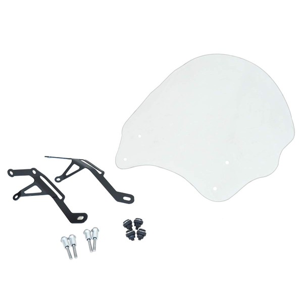 World Walk CB125R/250R Meter Visor Middle Clear ws-31cm
