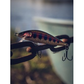 Countdown Elite 55 Gilded Rainbow Trout