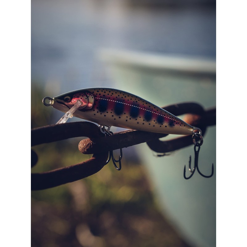 Countdown Elite 55 Gilded Rainbow Trout