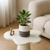 D'vine Dev 4.7 Inch Ceramic Planter Pot with Drainage Hole