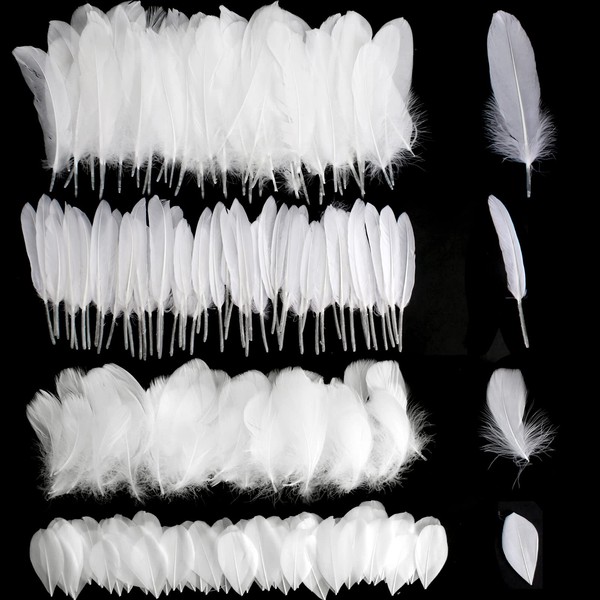 300 Pieces White Feathers Decorative Feathers Natural White Decorative Goose Feathers Natural Craft Feathers for DIY Headwear Crafts Costum Christmas Easter Wedding Party