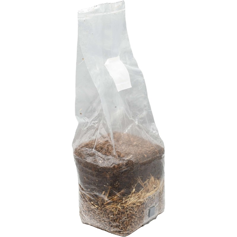Wood-Based All-in-One Mushroom Grow Bag