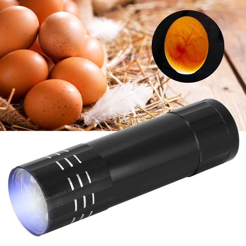 GLOGLOW Egg Candler, Egg Candling Lamp Incubator Tester Battery Operated