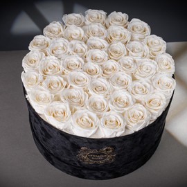UFOREVER ROSES UFOREVER ROSES Valentines Flowers Gifts for Her, Birthday Flowers for Delivery, Preserved Roses in Suede Box - Roses Gifts for Women, Mothers Day Roses - 40 Pieces (White)