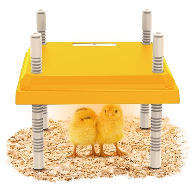 BlyeMichdi BlyeMichdi Brooder Heater for Chicks,10" x 10" Chick Brooder