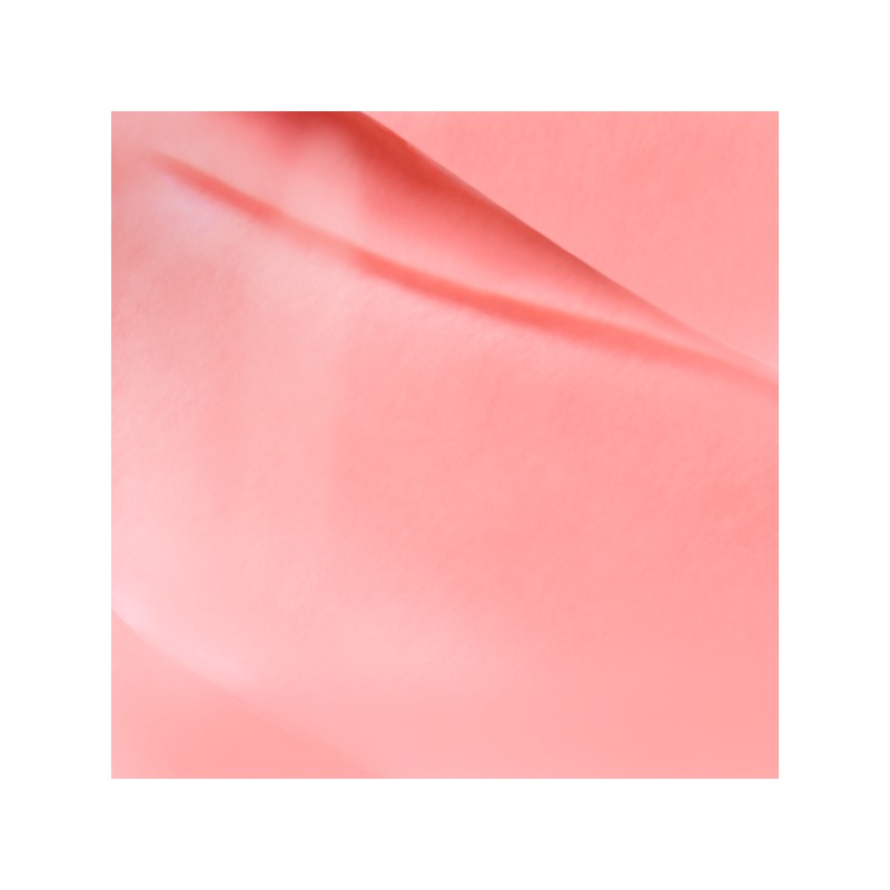 tiptoe Blurlet Sorbet Tint (6 Colors) - 101 YUJU