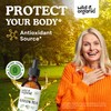 Wild & Organic Green Tea Extract Liquid Drops - Antioxidant