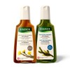 Rausch Oily Shampoo 2 Piece Set Coltsfoot Seaweed Shampoo 200ml / 라우쉬 지성 샴푸 2종세트 콜츠푸트 씨위드 샴푸 200ml