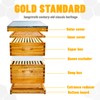 Beginner 10 Frame Bee Hive Beeswax Coated Includes Beehive Frames
