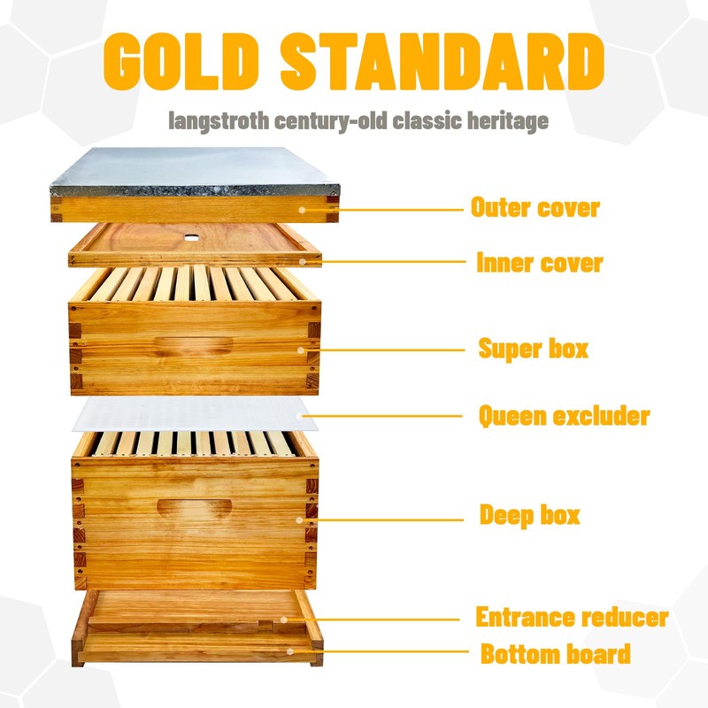 Beginner 10 Frame Bee Hive Beeswax Coated Includes Beehive Frames