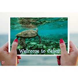 Blank White 5 1/2" x 8 1/2" Inches | Half Letter Size | 65lb Cover | 100 Sheets Per Pack