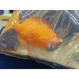 Taymor Set of 2 Decorative Goldfish Soap in Bag Taymor Soaps