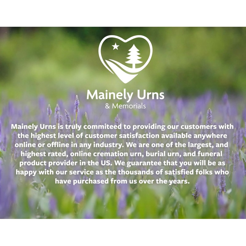 Mountain Themed TSA Approved Fly-Safe and Temporary Travel Cremation Urn