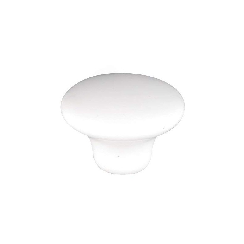 Steelhead Trout Fish - Critters Animals - DECORATIVE Glossy CERAMIC