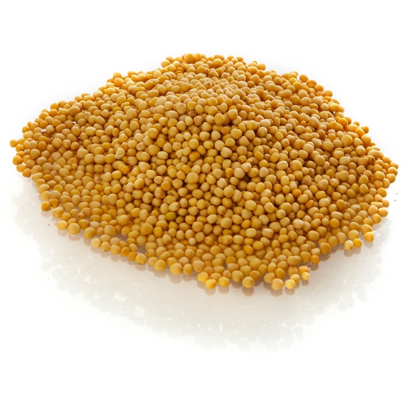 Old India Mustard Seeds Yellow 500g