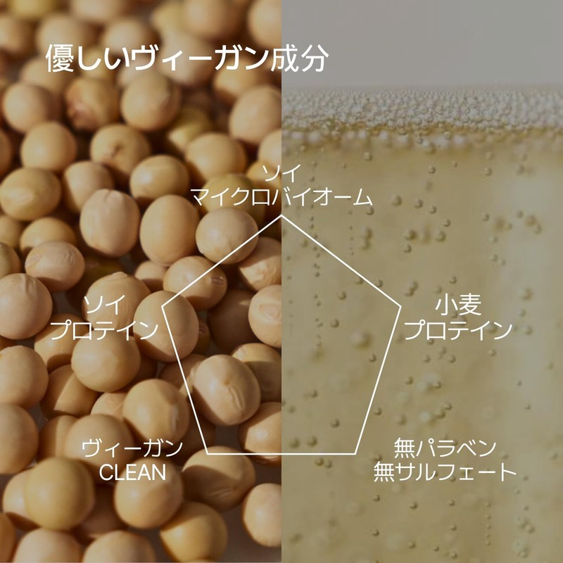 Soy Bome Protein Repair Treatment