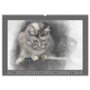 Maine Coon Aquarelle (Wandkalender 2026 DIN A2 quer), CALVENDO Monatskalender: