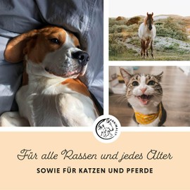 Annimally Salmon Oil for Dogs 250 ml Rich in Omega 3 & 6 Fatty Acids (with 30%) - Barf Fish Oil Suitable for Dogs and Cats I Pure Natural Product from Germany