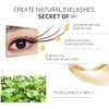 Eyelash and Brow Growth Serum,Eyelash Growth Serum Eye Lash Growing