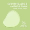 Native Sensitive Face Wash Spa Day Daily Facial Cleanser (2