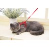 Icecode Cat Harness Kitten Lead Nylon Strap Belt Lead Adjustable