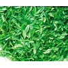 Rokuguru Farm JGAP Miyazaki Fukushi Sencha 3.5 oz (100 g)