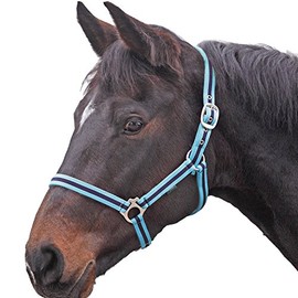 Shires Wessex Nylon Headcollar -Cambridge/Navy Pony