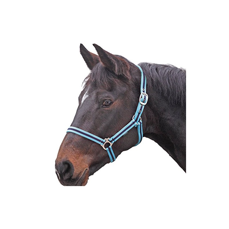 Shires Wessex Nylon Headcollar -Cambridge/Navy Pony