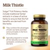Solgar Milk Thistle Pack of 50