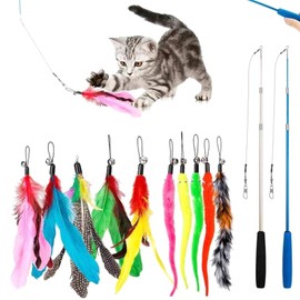 Pack of 12 Cat Toy Feather, Cat Fishing Rod with 2 Pieces Retractable 10 Cat Toy Replacement Feathers, Cat Toy Self-Employment with Feather/Bug/Fish Bell, Interactive Cat Toy