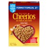 Cheerios Honey Nut Cereal Naturally Flavoured, 725g/25.6 oz, Imported from