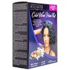 Hollywood Curl Cold Wave Perm Kit