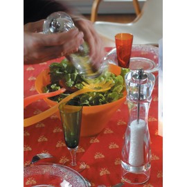 Peugeot PM18252 18252 Vittel Salzmühle Acryl, 5,9 x 5,9 x 23 cm, transparent