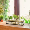 THYGIFTREE Plant Propagation Stations with Metal Stand, Tabletop Plant Terrarium