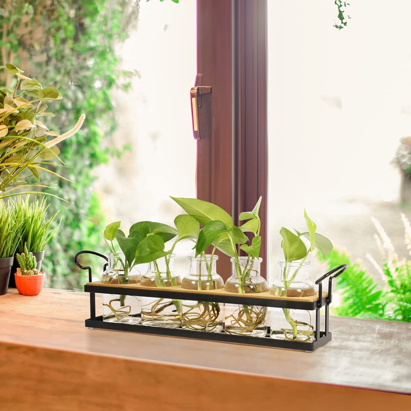 THYGIFTREE Plant Propagation Stations with Metal Stand, Tabletop Plant Terrarium